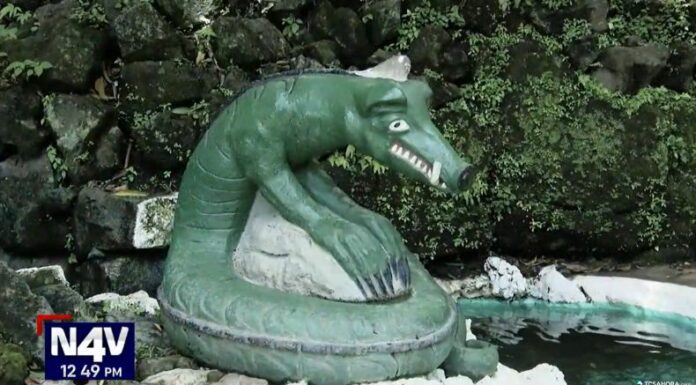 En Izalco, la Cuyancúa es una criatura legendaria que, según la tradición, alertaba con sus extraños sonidos a los habitantes sobre lluvias y sequías