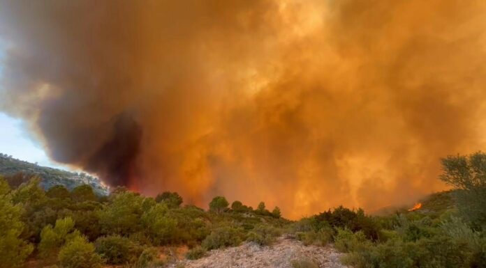 Cientos de bomberos luchan para detener la propagación de un incendio forestal en el sur de Francia, que dejó una persona muerta y nueve heridos.