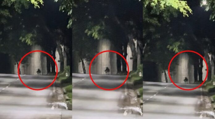 Una silueta inquietante recorre las calles de Santa Tecla, envuelta en misterio y dejando a su paso un escalofrío que pocos se atreven a ignorar.