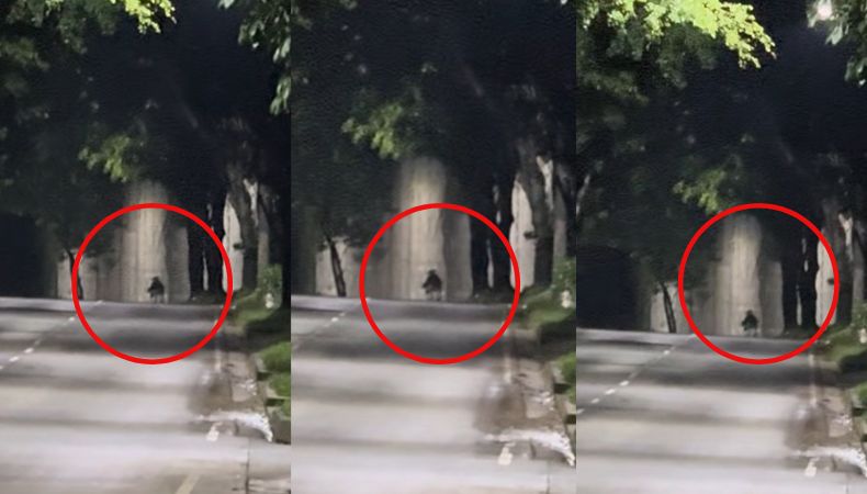 La silueta de la madrugada: el misterio que recorre las calles de Santa Tecla