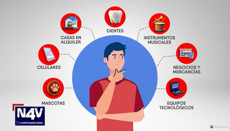 No solo carros y casas: descubra qué otros objetos puede asegurar