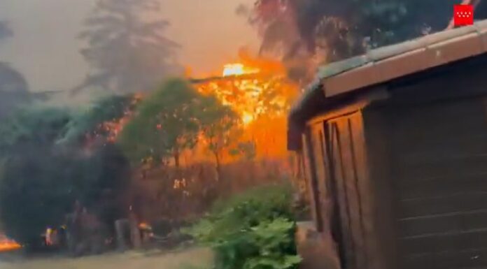 Las condiciones climáticas y la ola de calor han contribuido a que los incendios forestales se propaguen con mayor facilidad en Madrid. Las autoridades ya reportan un fallecido.