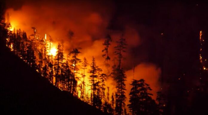 Un incendio voraz arrasó este miércoles una montaña en el oeste de Canadá, por lo que varios residentes fueron evacuados.