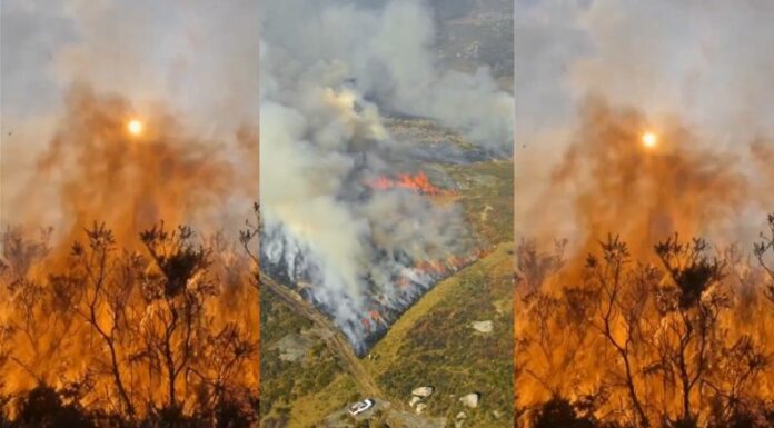 Los incendios en España deja otro voluntario fallecido cuando participaba en la extinción del fuego, en la provincia de León.