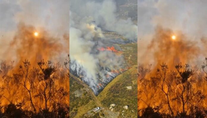 Incendios en España dejan una tercera víctima Los incendios en España deja otro voluntario fallecido cuando participaba en la extinción del fuego, en la provincia de León.