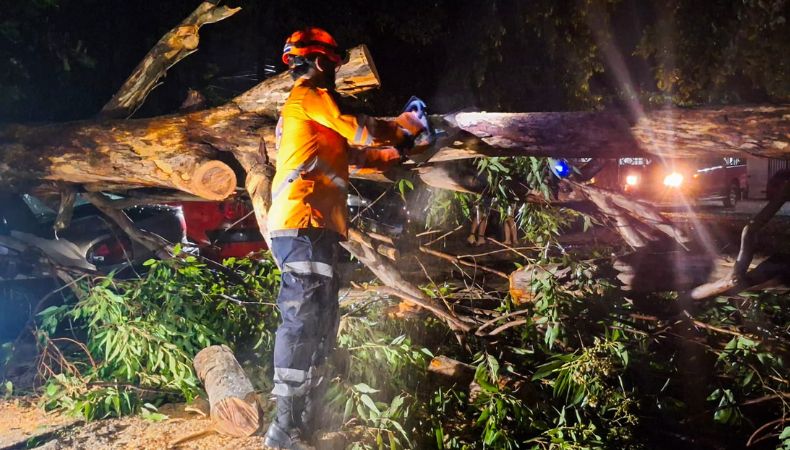 Un árbol cayó sobre una estructura y provocó la muerte de una mujer y varias personas resultaron lesionadas.