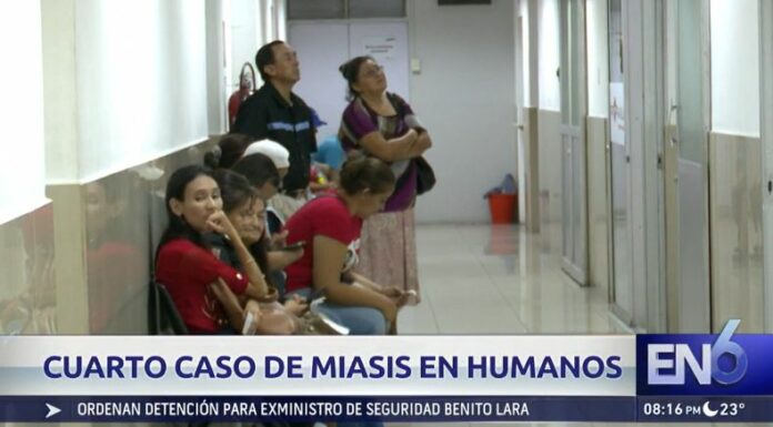El Ministerio de Salud confirmó un nuevo caso de miasis por gusano barrenador en humanos, según su más reciente boletín epidemiológico. Con este registro, ya suman cuatro los salvadoreños afectados.