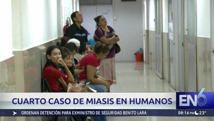 Salud confirma cuarto caso de miasis por gusano barrenador en humanos El Ministerio de Salud confirmó un nuevo caso de miasis por gusano barrenador en humanos, según su más reciente boletín epidemiológico. Con este registro, ya suman cuatro los salvadoreños afectados.
