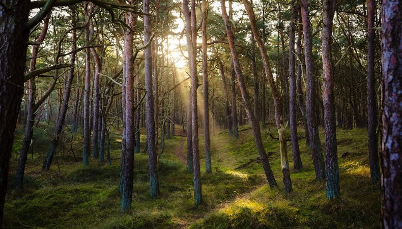 La “tarifa verde”, es un cobro similar al impuesto turístico que está destinada a financiar la protección ambiental.