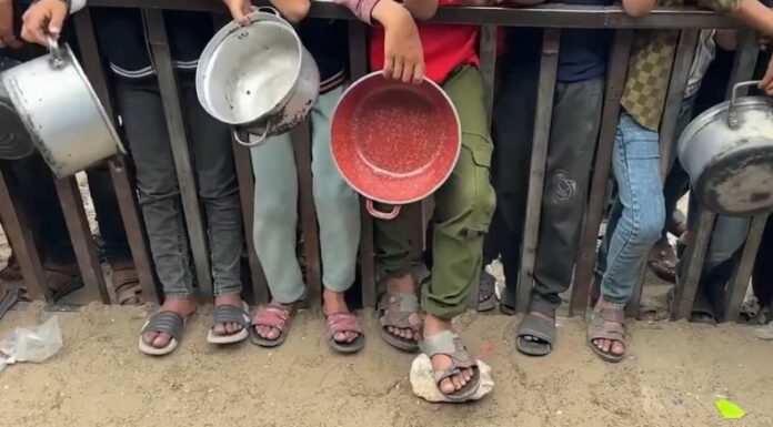 La ONU declaró este viernes la hambruna en Gaza, después de que sus expertos advirtieran que 500,000 personas se encuentran en una situación 