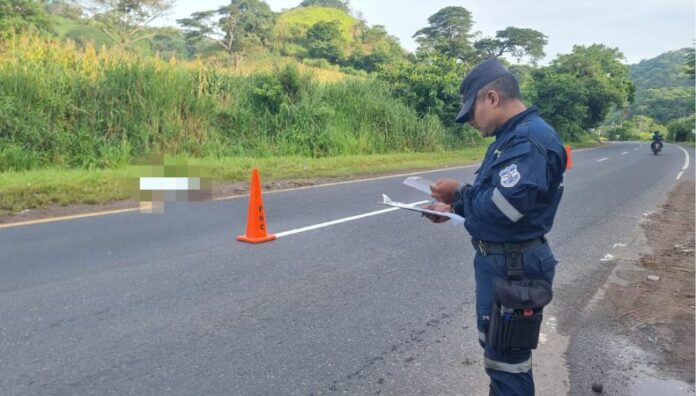 Dos peatones fueron atropellados en Coatepeque Dos peatones murieron tras ser atropellados en el km. 42 ½ de la carretera que de San Salvador conduce a Santa Ana en el distrito de Coatepeque.