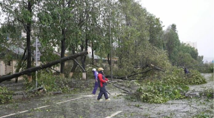 Tres personas murieron y 13 más resultaron heridas tras el paso del tifón Kajiki por Vietnam.