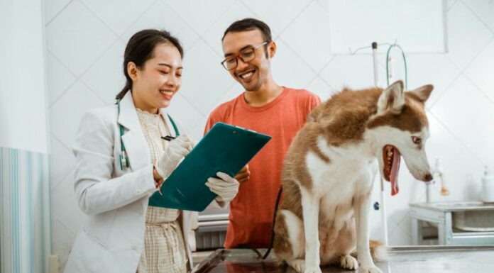 El cuidado preventivo de las mascotas, con vacunas y controles veterinarios al día, protege su salud y la de quienes las cuidan