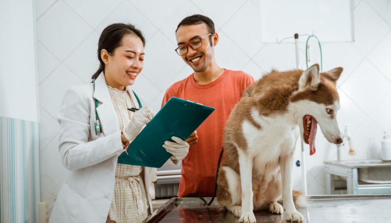 El cuidado preventivo de las mascotas, con vacunas y controles veterinarios al día, protege su salud y la de quienes las cuidan