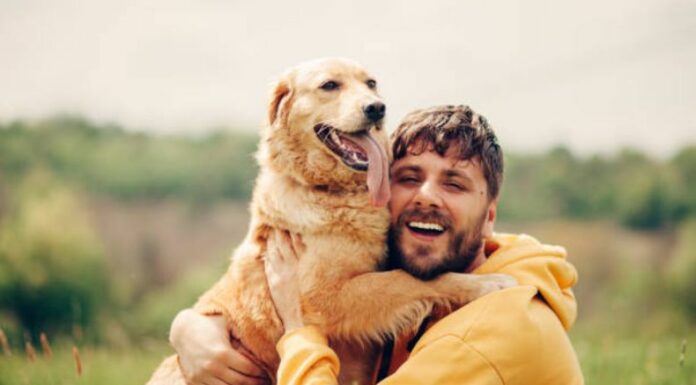 La forma en que una persona cuida a sus mascotas puede reflejar qué tan empático y atento es en sus relaciones amorosas.