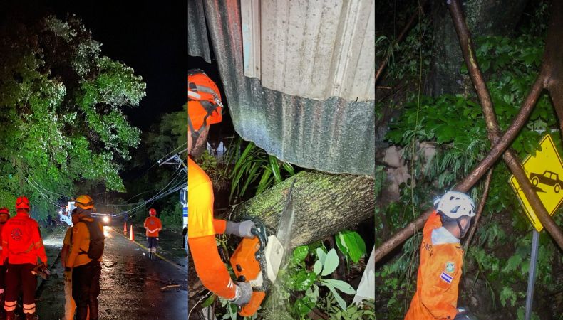 Las lluvias registradas anoche causaron la caída de varios árboles y bloqueos de calles en distintas partes del país. 