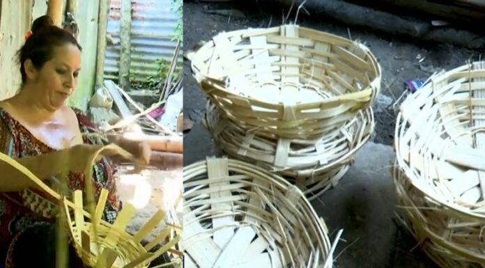 En Santa Cruz Analquito, Cuscatlán Sur, Karla Zaldívar convierte el bambú en elegantes canastos artesanales que reflejan tradición y talento.