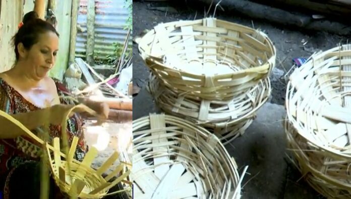Los canastos de bambú las manos que tejen una tradición En Santa Cruz Analquito, Cuscatlán Sur, Karla Zaldívar convierte el bambú en elegantes canastos artesanales que reflejan tradición y talento.