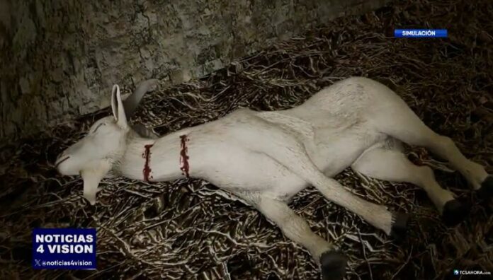 Cuando la sombra del Chupacabras recorre los corrales Campesinos viven con temor ante el regreso del temido Chupacabras, que ataca al ganado y a las aves de corral.
