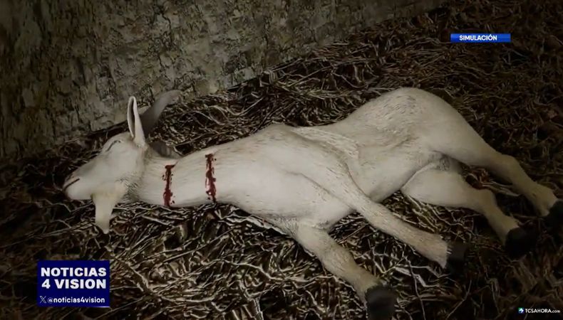 Campesinos viven con temor ante el regreso del temido Chupacabras, que ataca al ganado y a las aves de corral.