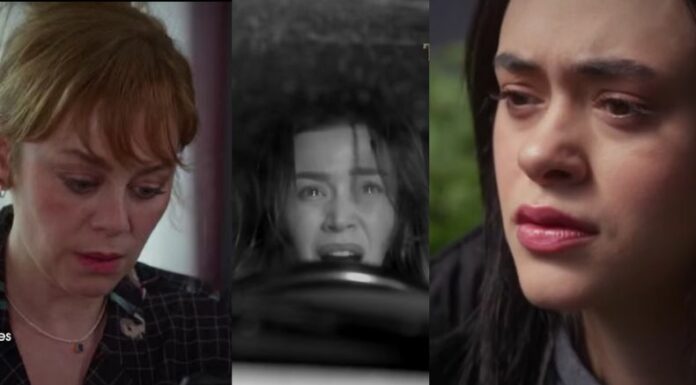 En “Bahar: Esencia de mujer” nada volverá a ser igual. Una discusión familiar destapa heridas del pasado y un secreto amenaza con destruirlo todo.