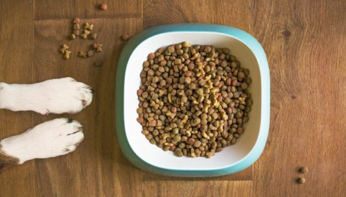 Conoce las claves para una nutrición canina saludable Una nutrición balanceada previene enfermedades y prolonga la vida de las mascotas, ya que mejora su ánimo y fortalece vínculo con los dueños.