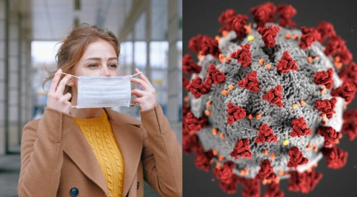 Estados Unidos encendió de nuevo las alertas sanitarias tras reportar un aumento de casos de covid-19, situación que coincide con el regreso a clases y el inicio del otoño.