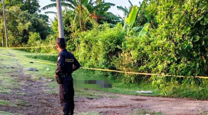 Un ciclista murió atropellado en la carretera entre Jiquilisco y Puerto El Triunfo, Usulután, en la jurisdicción del cantón Chaguantique.