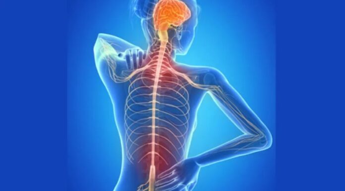 La esclerosis múltiple afecta a millones en el mundo y suele aparecer con síntomas que muchos confunden con simples molestias.