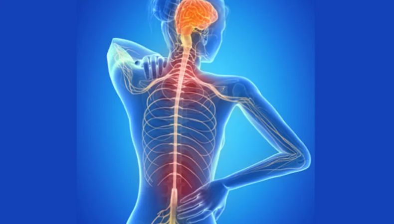 La esclerosis múltiple afecta a millones en el mundo y suele aparecer con síntomas que muchos confunden con simples molestias.