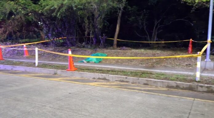 Un hombre fue encontrado sin vida en la zona verde de la incorporación de la avenida Jerusalén con dirección al bulevar Monseñor Romero, en San Salvador.