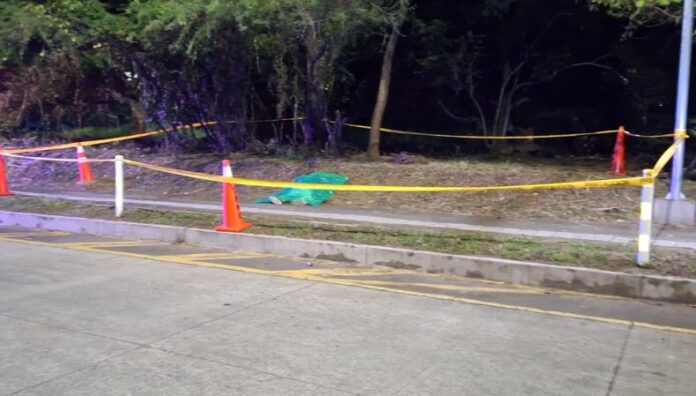 Hallan a hombre sin vida en la incorporación de la Av. Jerusalén hacia el bulevar Monseñor Romero Un hombre fue encontrado sin vida en la zona verde de la incorporación de la avenida Jerusalén con dirección al bulevar Monseñor Romero, en San Salvador.