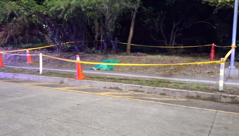 Un hombre fue encontrado sin vida en la zona verde de la incorporación de la avenida Jerusalén con dirección al bulevar Monseñor Romero, en San Salvador.