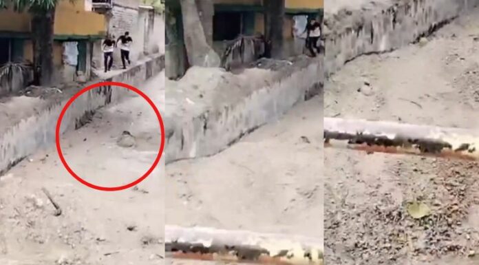 Una mujer terminó con varias lesiones al ser arrastrada por la repunta de un río durante las lluvias de esta tarde.