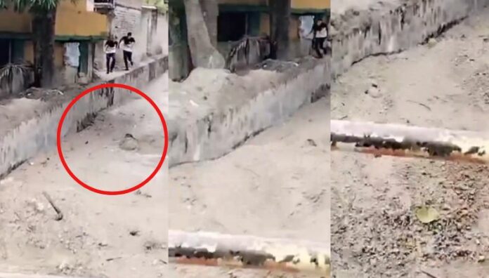 Mujer fue arrastrada por la repunta de un río en Ilopango tras fuertes lluvias Una mujer terminó con varias lesiones al ser arrastrada por la repunta de un río durante las lluvias de esta tarde.