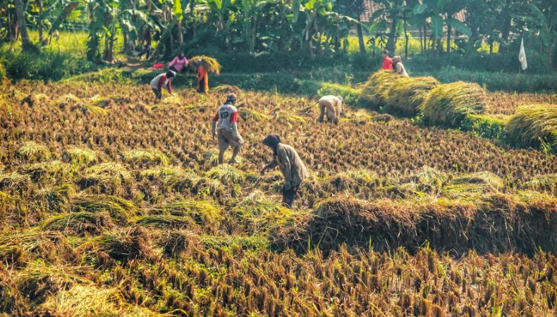 El Banco Mundial advierte que la degradación ambiental frena la economía y señala que restaurarla podría ayudar al desarrollo de los países.