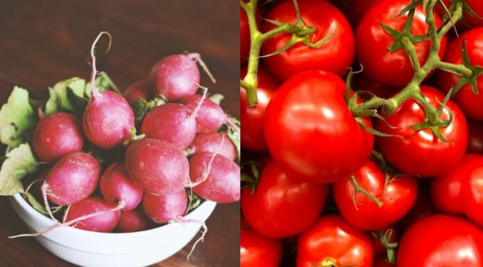 En siete meses, los precios de alimentos como rábanos, tomates y maicillo han aumentado hasta un 80%, según la Defensoría del Consumidor.