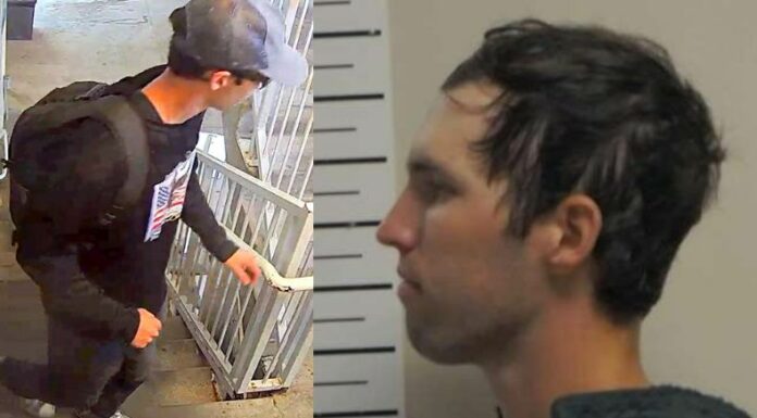 El presidente de Estados Unidos, Donald Trump, confirmó que el principal sospechoso del asesinato del líder juvenil de derecha Charlie Kirk, se encuentra bajo custodia.