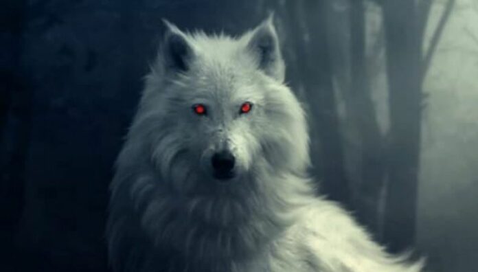 El Cadejo blanco merodea entre las tumbas del Cementerio Los Ilustres Un inquietante video grabado en el Cementerio “Los Ilustres” muestra una silueta extraña que varios relacionan con el Cadejo blanco.