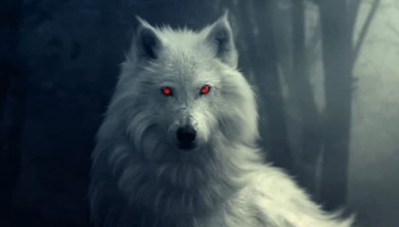 Un inquietante video grabado en el Cementerio “Los Ilustres” muestra una silueta extraña que varios relacionan con el Cadejo blanco.