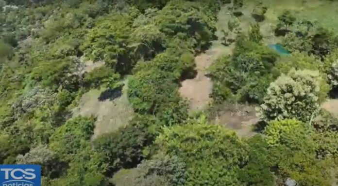 La restauración de las zonas de recarga hídrica conserva la naturaleza y asegura el acceso al agua potable para miles de familias.