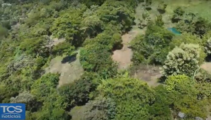 Zonas de recarga hídrica clave para garantizar el agua en el futuro La restauración de las zonas de recarga hídrica conserva la naturaleza y asegura el acceso al agua potable para miles de familias.