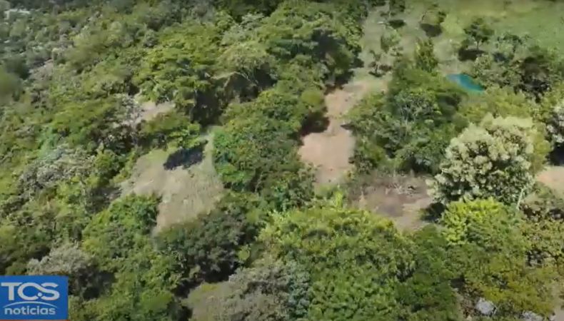 La restauración de las zonas de recarga hídrica conserva la naturaleza y asegura el acceso al agua potable para miles de familias.