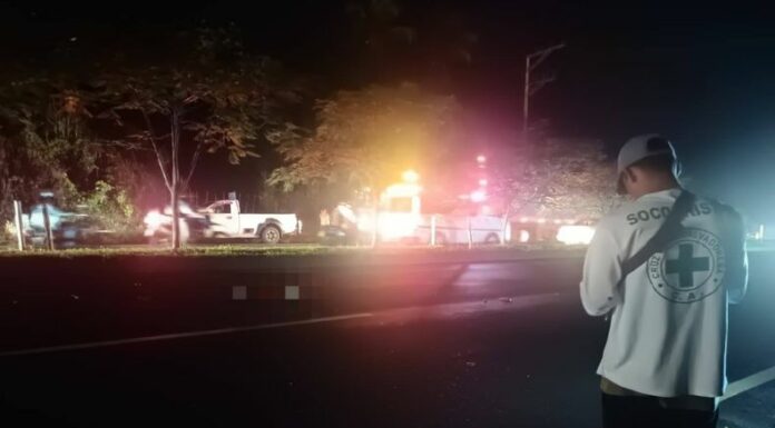 Del 1 de enero al 18 de septiembre de 2025, un total de 332 peatones fallecieron tras ser atropellados en diferentes puntos del país, según datos de Onasevi.