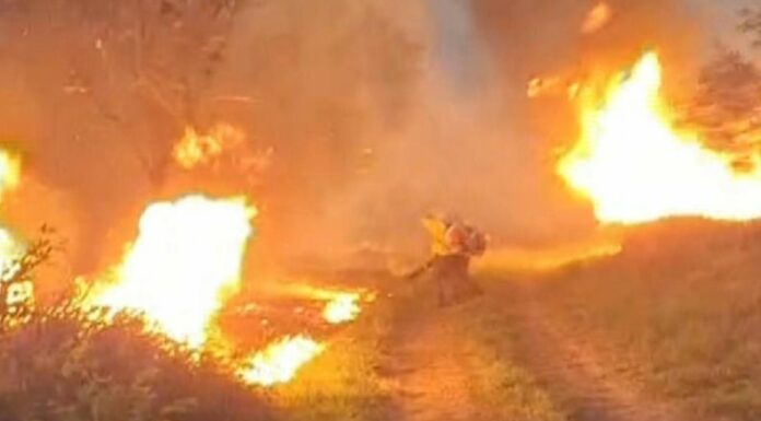 Un incendio de gran magnitud consume parte del Bosque Nacional de Ipanema, en el interior del estado de São Paulo, Brasil.