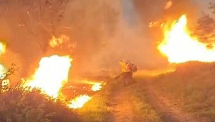Incendio afecta parte del Bosque Nacional de Ipanema en São Paulo, Brasil Un incendio de gran magnitud consume parte del Bosque Nacional de Ipanema, en el interior del estado de São Paulo, Brasil.
