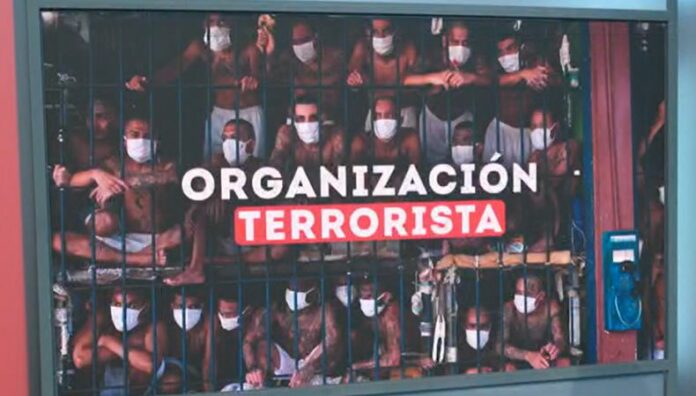 Estados Unidos designó a pandilla Barrio 18 como terrorista El Departamento de Estado designó al Barrio 18 como una organización terrorista extranjera por los atentados cometidos en el triángulo norte de Centroamérica.