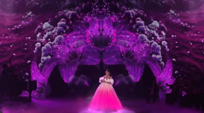 La artista dominicana convirtió su show en Panamá en el escenario ideal para confirmar que espera una niña junto a Raphy Pina.