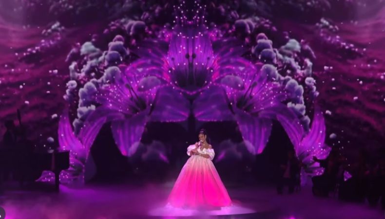 La artista dominicana convirtió su show en Panamá en el escenario ideal para confirmar que espera una niña junto a Raphy Pina.