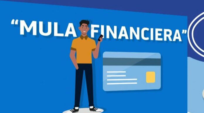 Bandas criminales reclutan a salvadoreños para lavar dinero y mover millones mediante cuentas bancarias locales, convirtiéndolos en “mulas financieras”.